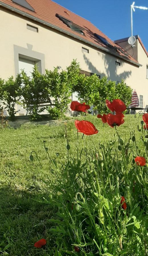 Le Feneau Maison D'Hotes Creuzier-le-Neuf المظهر الخارجي الصورة